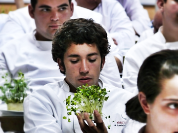 Cocina y Gastronomía